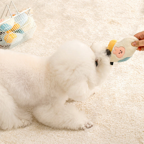 Sock Rope Toy - 2 Designs