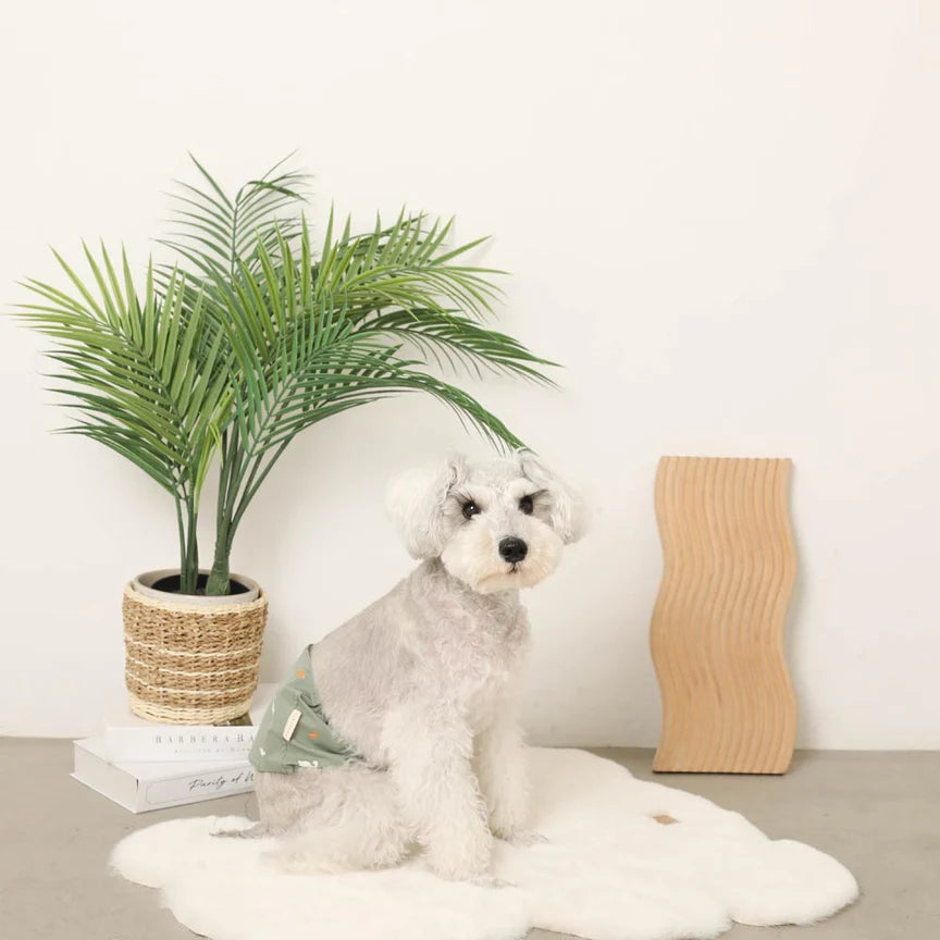 Dinosaur Patterned Manner Belt