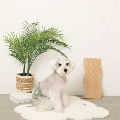 Dinosaur Patterned Manner Belt