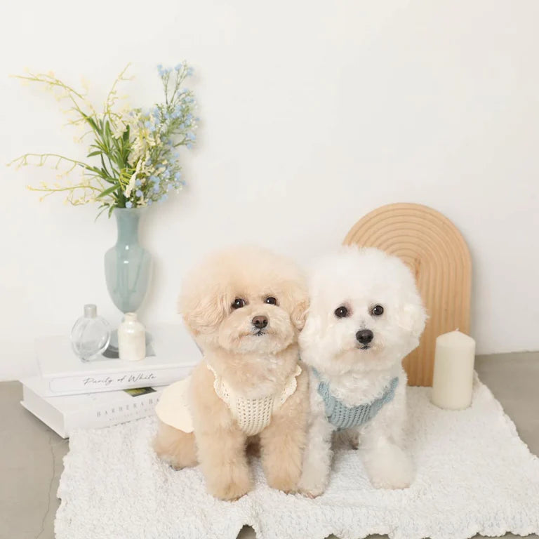 Summer Motif Shoulder Frill Knit Dress - 2 Colors