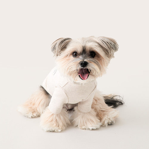 Mochi Shirt with Sleeves - 6 Colors