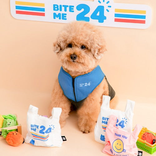 Crinkle Super Market Bag Toy - 2 Colors