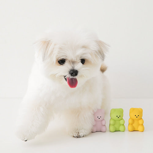 Little Jelly Bear Latex Toy (3pcs)