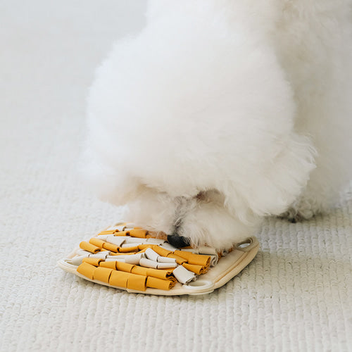 Braining Spin and Snack Squirrel Toy
