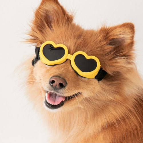 CBF Lovey Dovey Heart Goggles - 5 Colors