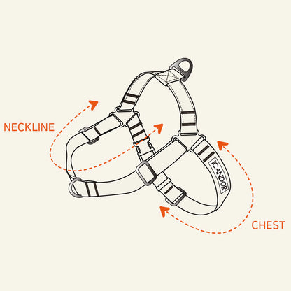 No Pull Harness - 4 Colors