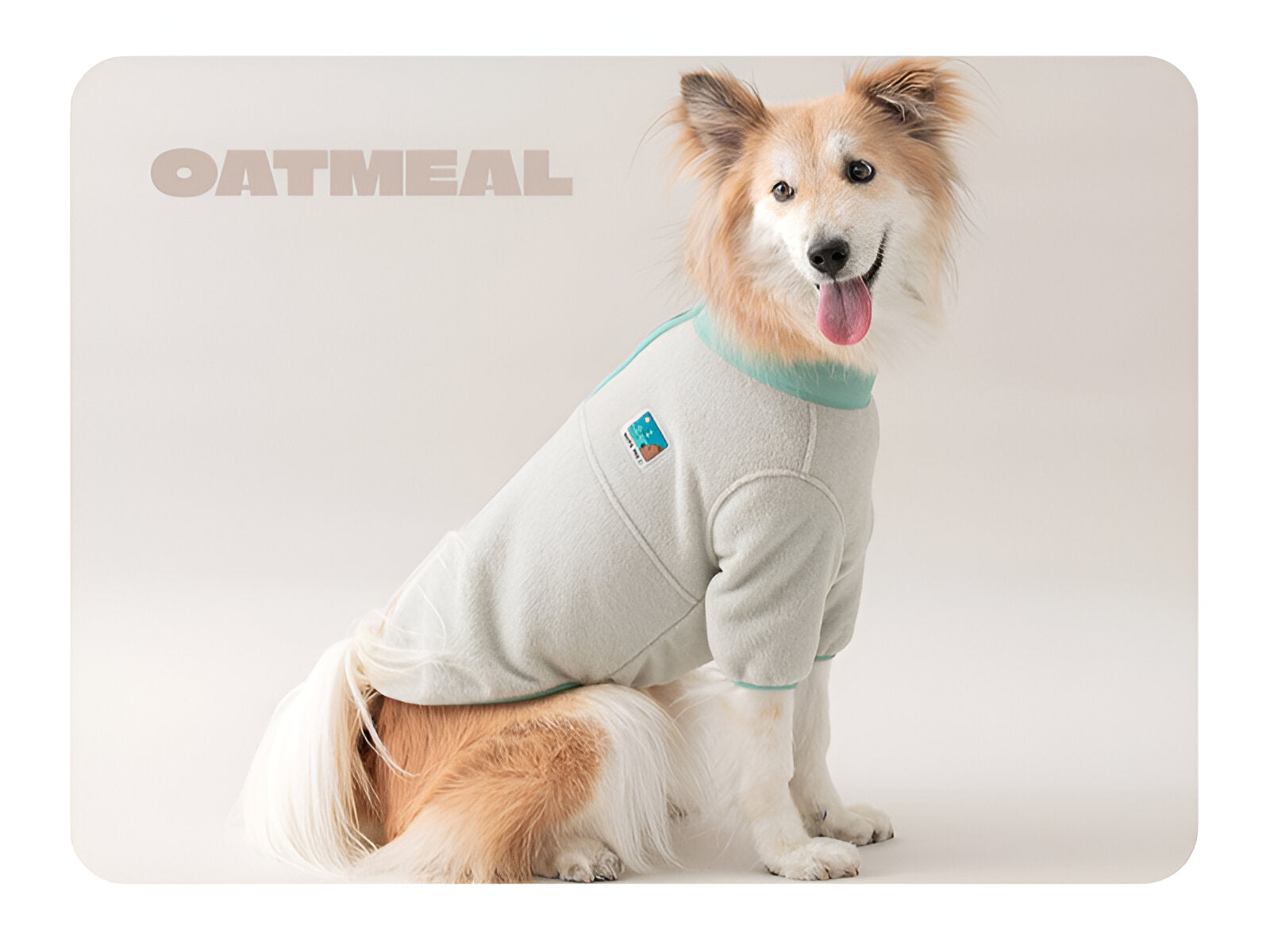 Fleece Dog Sweater