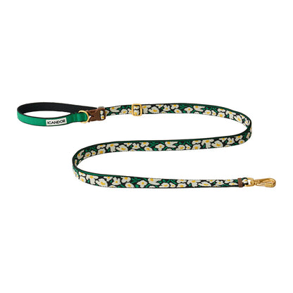 Gentle Leash Bolt, Long - 3 Colors
