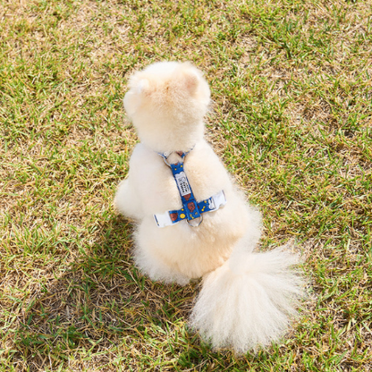 Colorful Miffy Harness