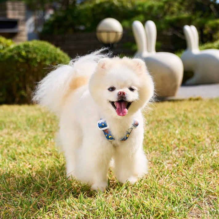 Colorful Miffy Harness