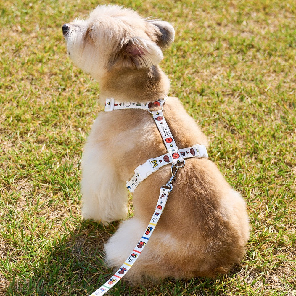 Colorful Miffy Harness