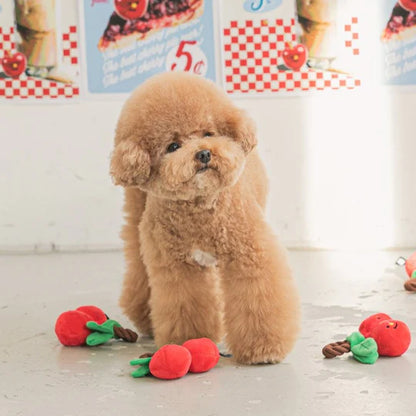 Cherry Tug Toy