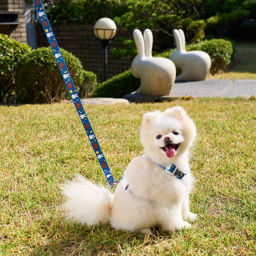 Colorful Miffy Handsfree Leash