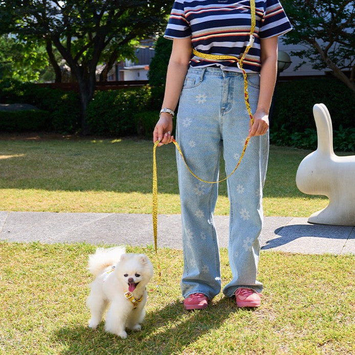 Colorful Miffy Handsfree Leash