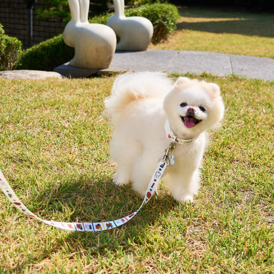 Colorful Miffy Handsfree Leash