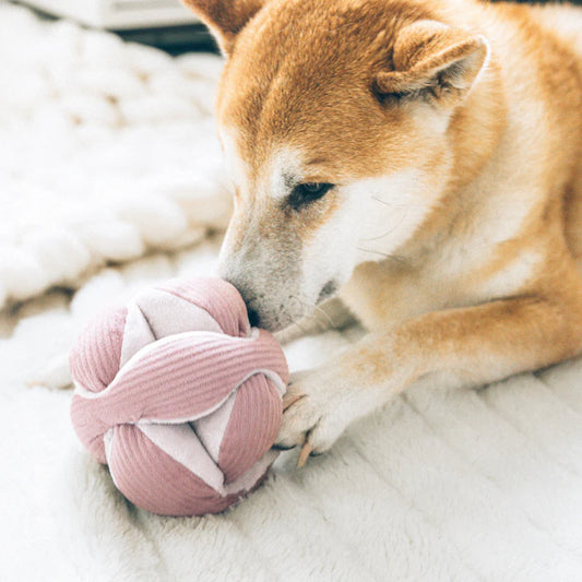 Monti S - Enrichment Dog Toy - 3 Colors