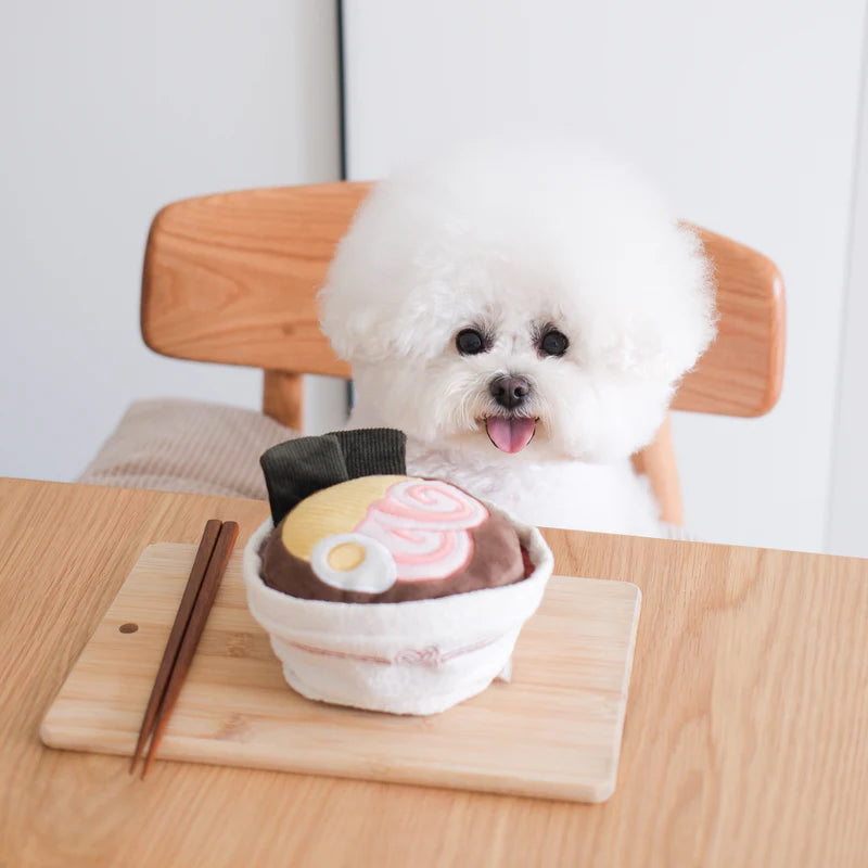 Ramen Enrichment Toy