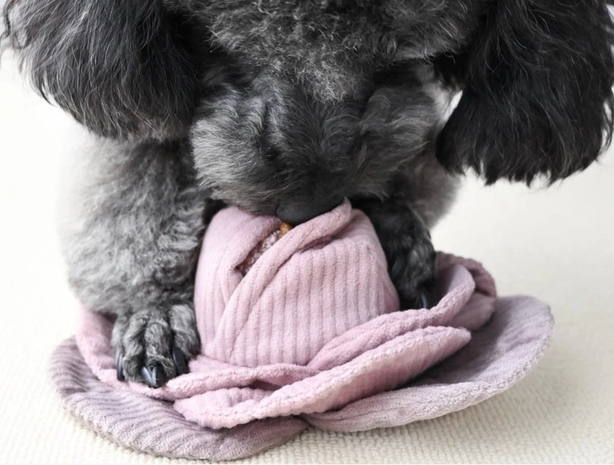 Cabbage Pop - Enrichment Dog Toy - 2 Colors