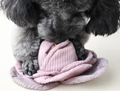 Cabbage Pop - Enrichment Dog Toy - 2 Colors