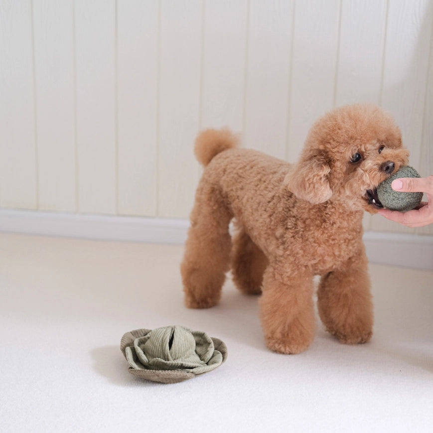 Cabbage Pop - Enrichment Dog Toy - 2 Colors