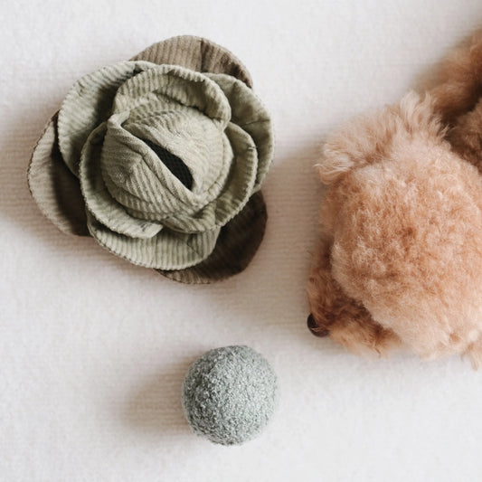 Cabbage Pop - Enrichment Dog Toy - 2 Colors