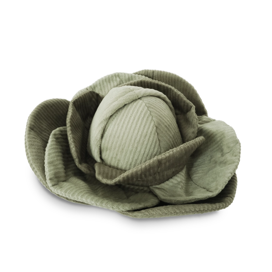 Cabbage Pop - Enrichment Dog Toy - 2 Colors