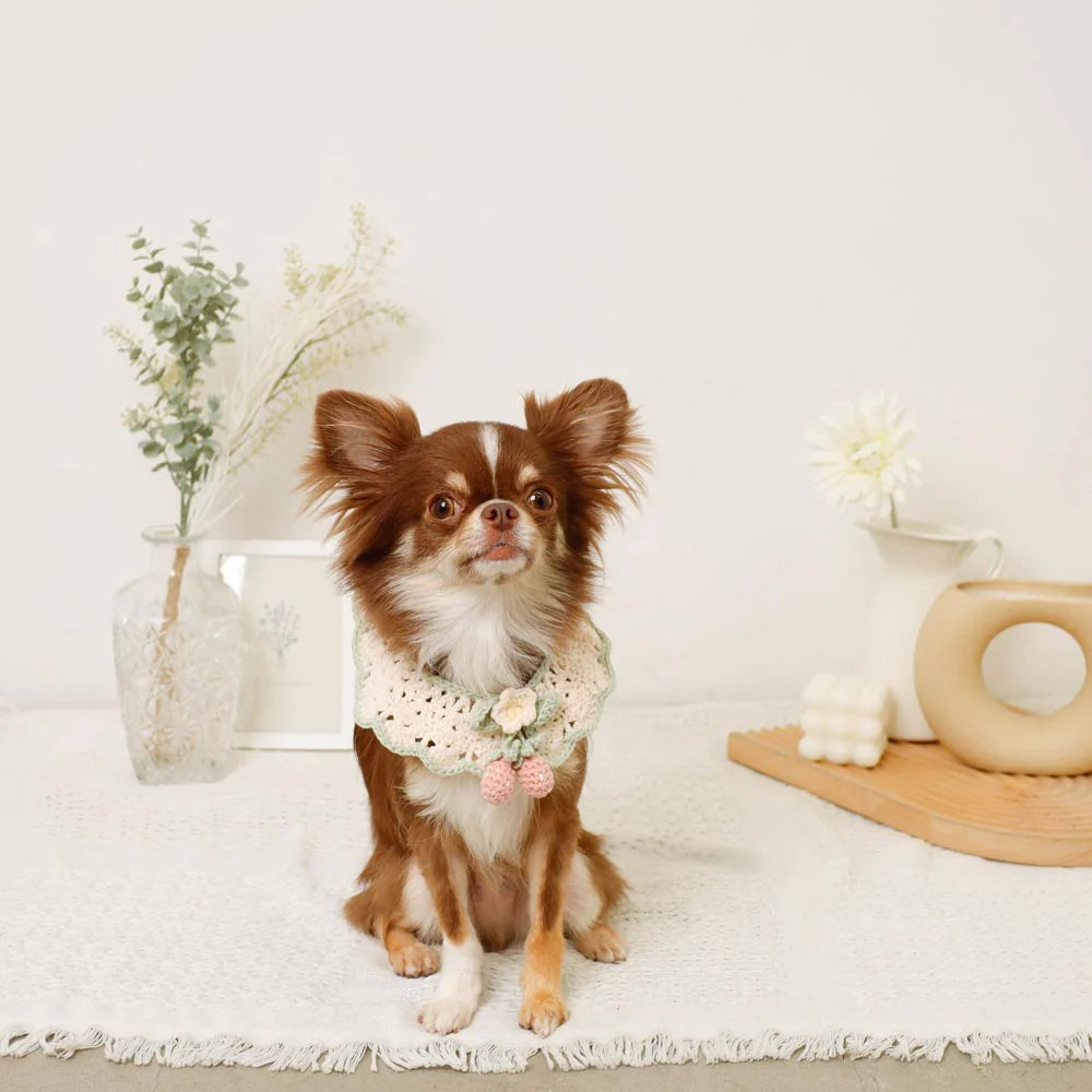 Strawberry Motif Hand-Knitted Collar