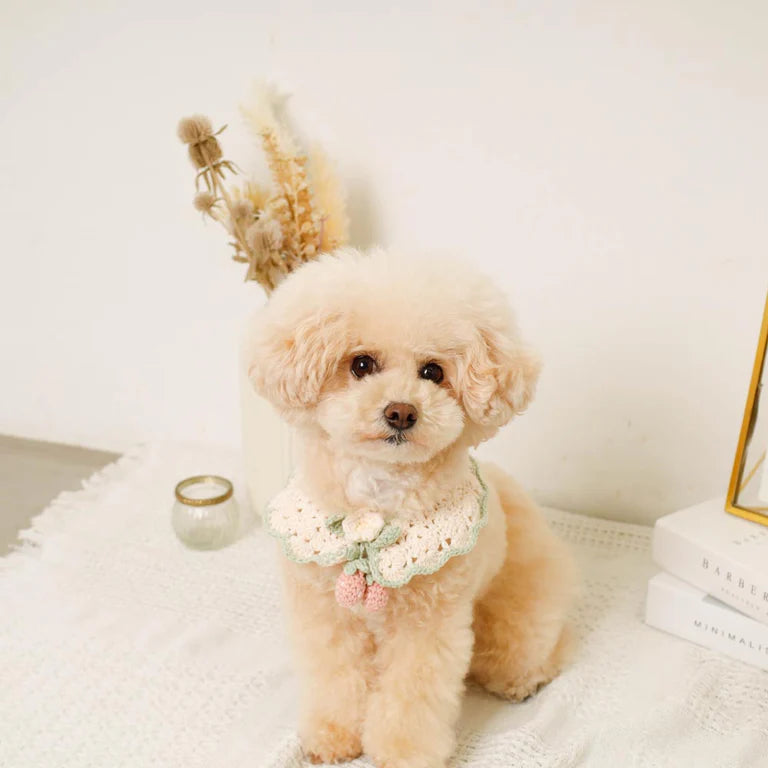 Strawberry Motif Hand-Knitted Collar