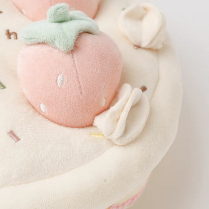 Strawberry Cake Nosework Toy