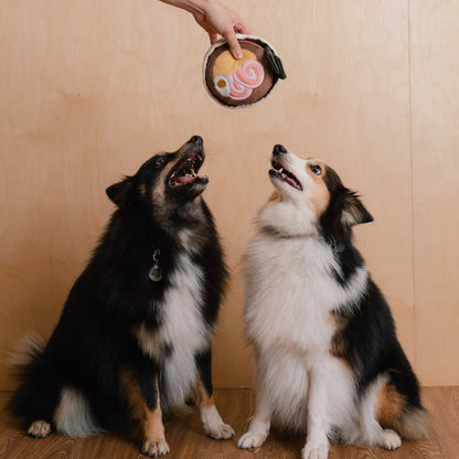 Ramen Enrichment Toy