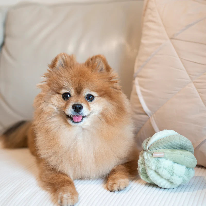 TOTO Silent Snuffle Ball