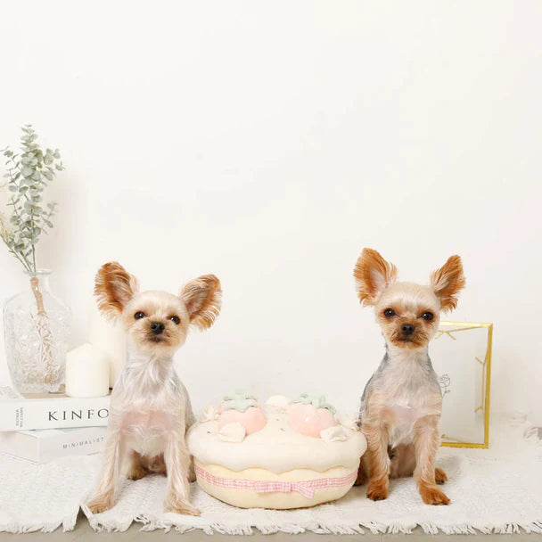 Strawberry Cake Nosework Toy