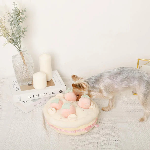 Strawberry Cake Nosework Toy