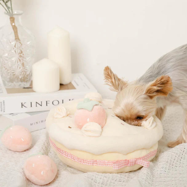 Strawberry Cake Nosework Toy