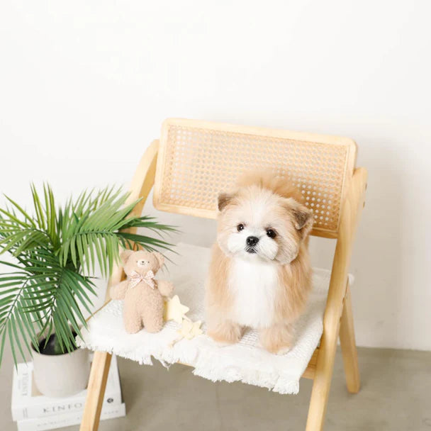 Bear Star Nosework Plush Toy