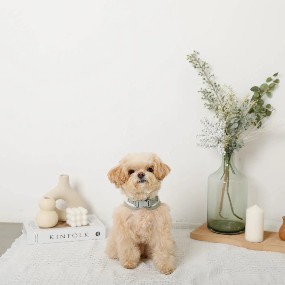 Cooling Flower Pattern Walk Set [Harness + Leash]