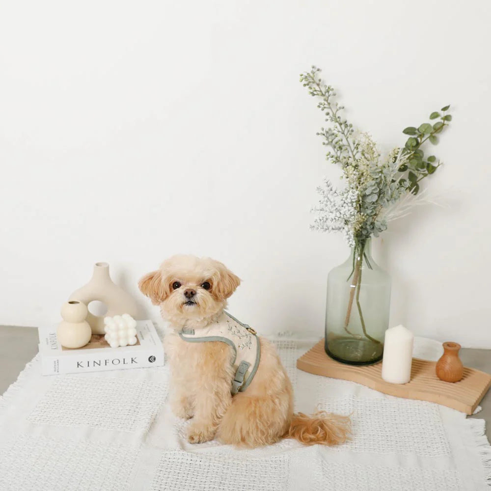 Cooling Flower Pattern Walk Set [Harness + Leash]