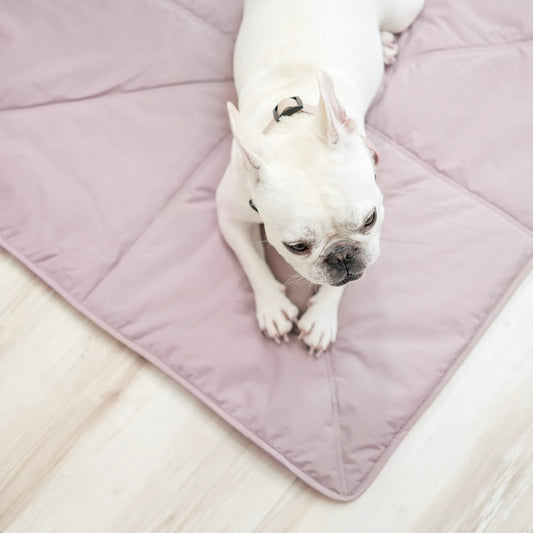 Orii | Ultralight Dog Travel Mat - 3 Colors