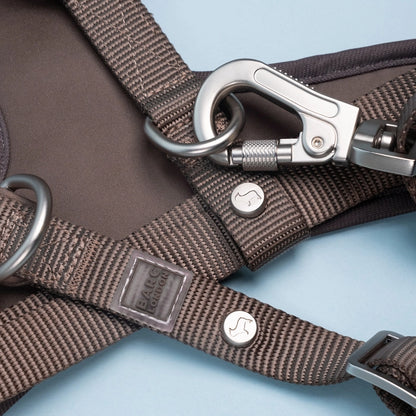Russet Brown Adjustable Dog Leash