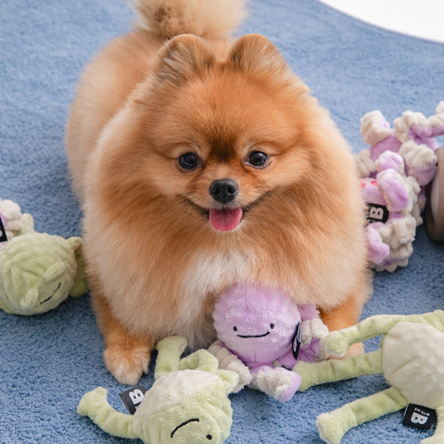 Long Hands Ball Toy - 2 Designs