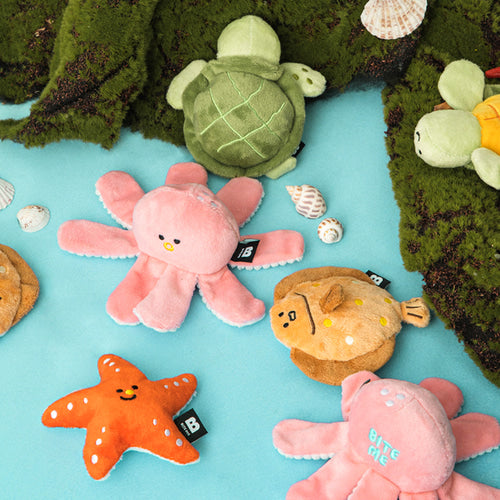 Sea Friends Nose-work Toy (2 pcs)