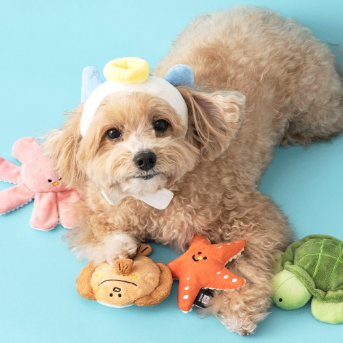 Sea Friends Nose-work Toy (2 pcs)