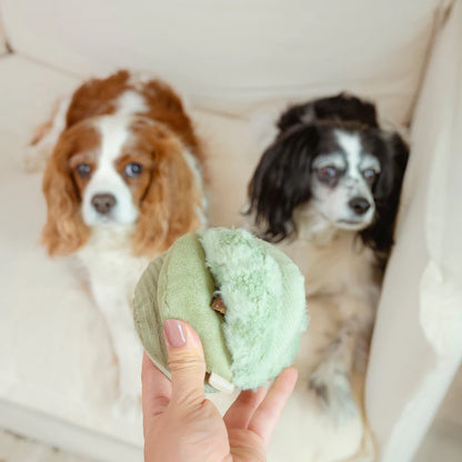 TOTO Silent Snuffle Ball